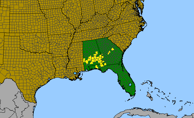 The range of Trillium decipiens
